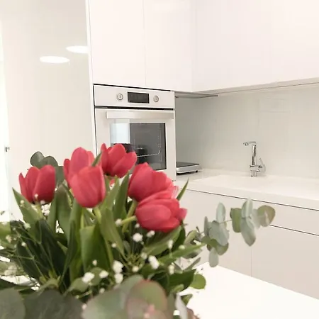 Semesterbostad Aria Apts 100 M From The By Posarellivillas *